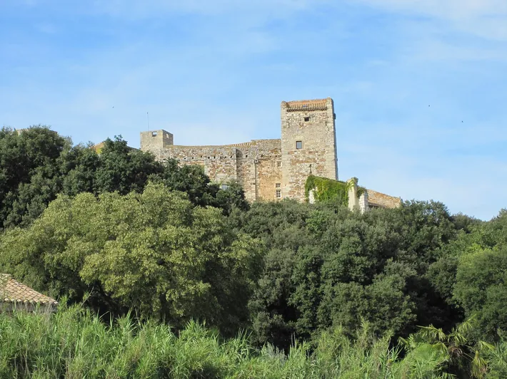 Die Burg von La Capelle-et-Masmolène.