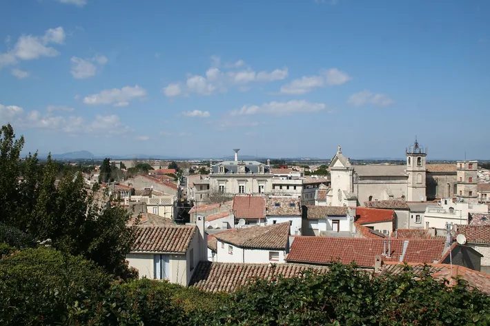 Mauguio ( Hérault ) - vue générale vers le nord, depuis la motte. À l'horizon, le pic Saint-Loup