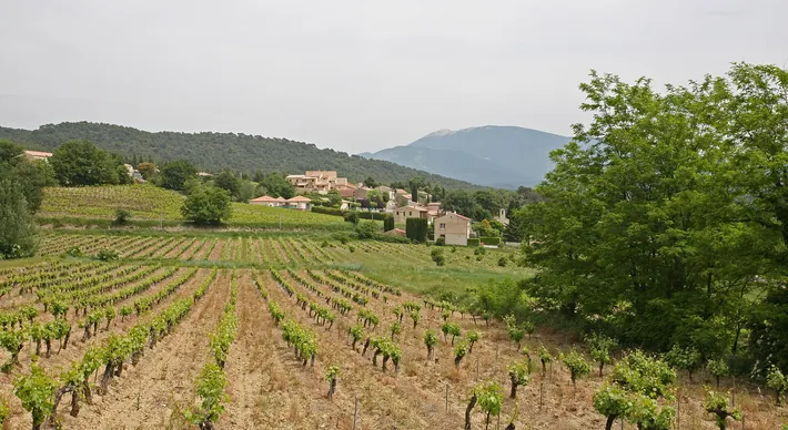 Saint-Marcellin-lès-Vaison (commune de Vaucluse) avec en fond le Mont Ventoux